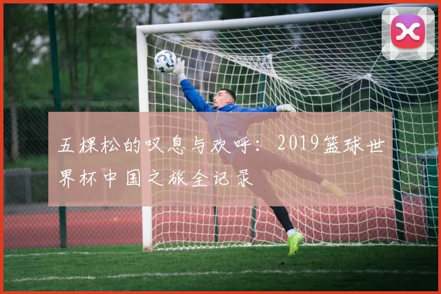 五棵松的叹息与欢呼：2019篮球世界杯中国之旅全记录