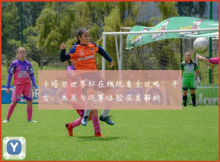 卡塔尔世界杯在线观看全攻略:平台、画质与观赛体验深度解析
