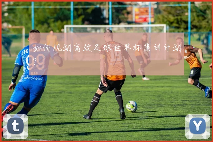 如何规划高效足球世界杯集训计划？