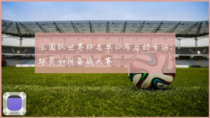 法国队世界杯名单公布后的专访：球员如何备战大赛
