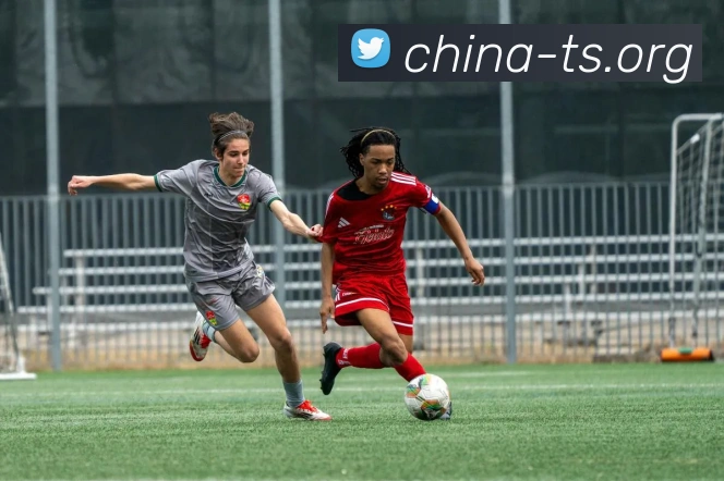 德国vs巴西全场回放：经典对决精彩瞬间全记录